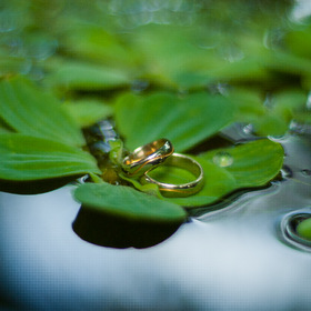 ��������� ���� � �������